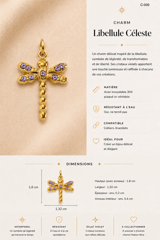 C-009 Charm libellule céleste