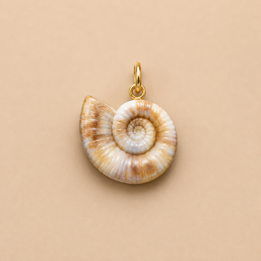 C-005 Charm coquillage spirale